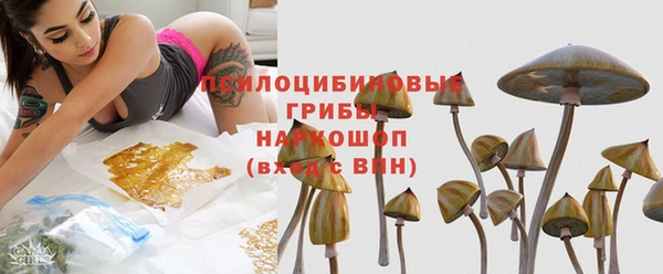 прущий лед Алексеевка