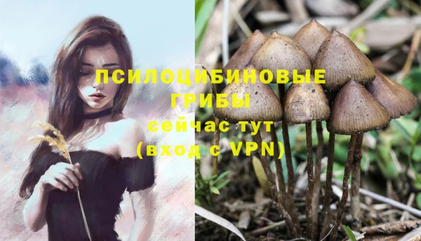 кокаин Алексин