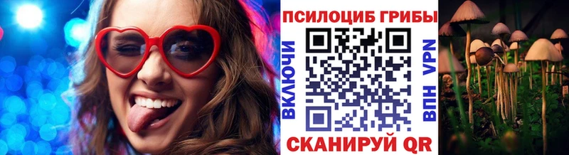 Псилоцибиновые грибы прущие грибы  Яровое 